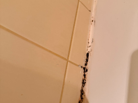 科隆领事帕克酒店主图