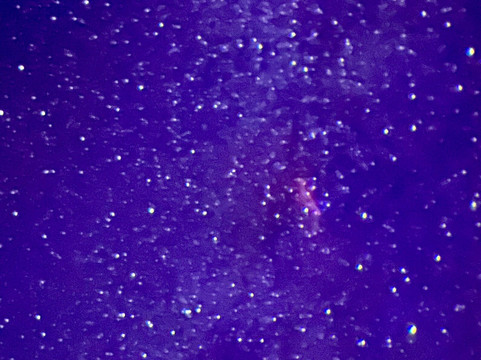 Grizedale Observatory-安布赛德必去景点