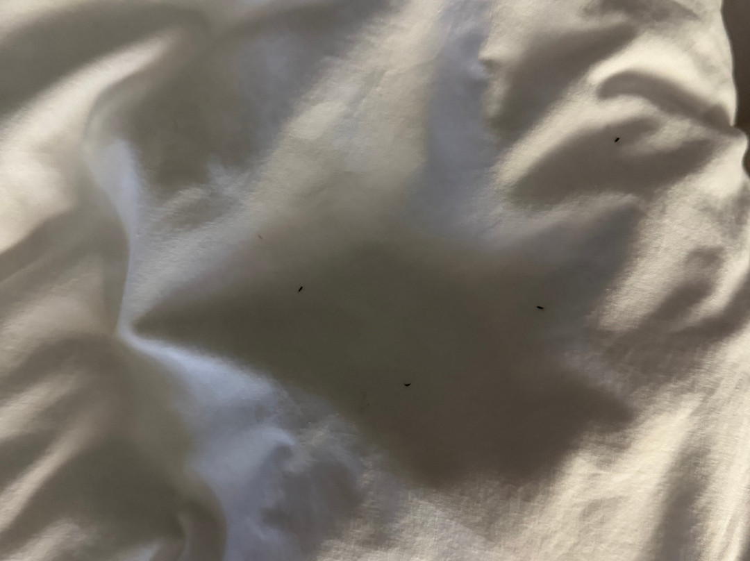 威肯伯格速8酒店主图