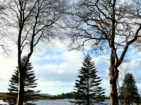 庄园宅邸乡村酒店主图