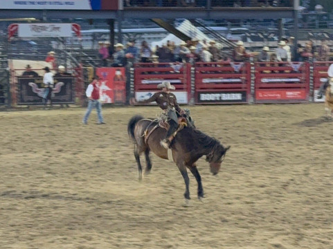 Jackson Hole Rodeo-杰克逊必去景点