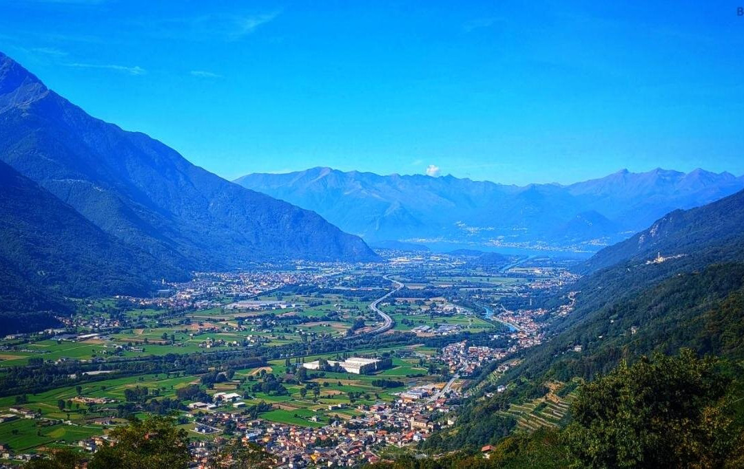 Il nido di Siro