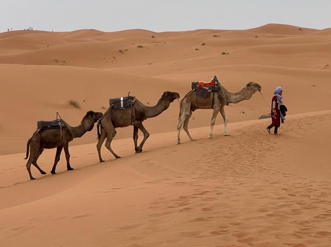 Marocco Tours-马拉喀什必去景点