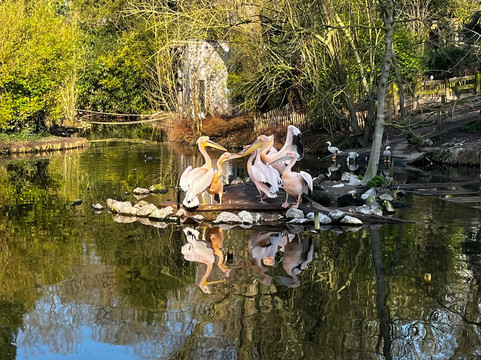 Zoo de Lille-里尔必去景点