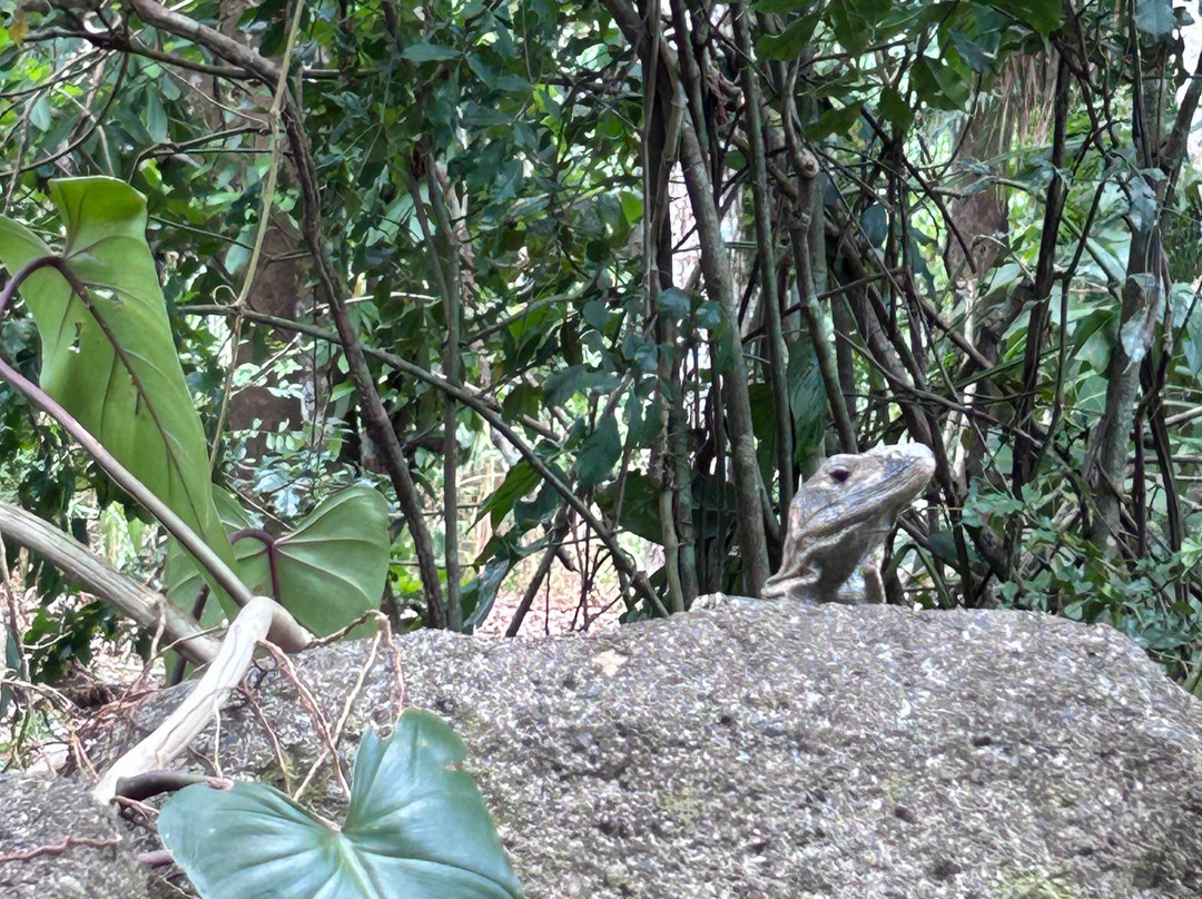 Pumilio 山及海洋酒店主图
