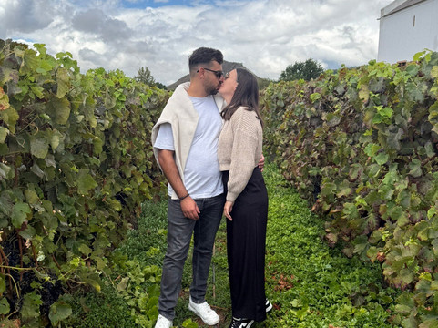 Franschhoek Wine Tram-法兰舒克必去景点