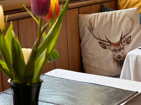 zum Hirschen酒店主图