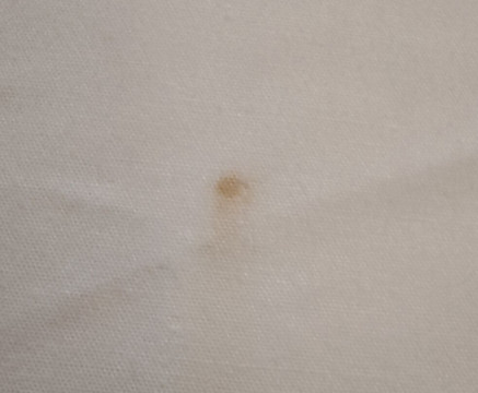 旅屋酒店-布拉克内尔市中心主图