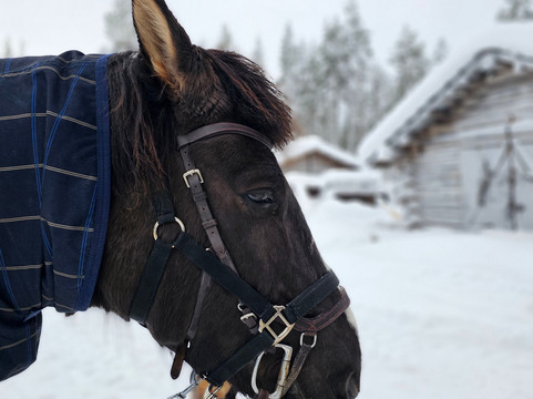 Polar Lights Tours-Sirkka必去景点