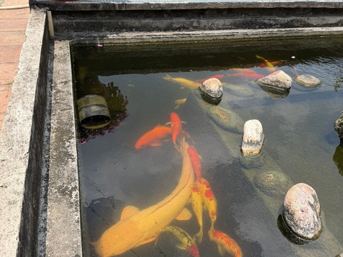 Binh Thuy Ancient House-芹苴必去景点