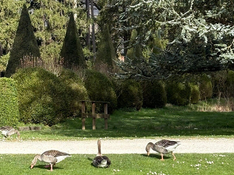 Parc du Chateau de Vizille-Vizille必去景点