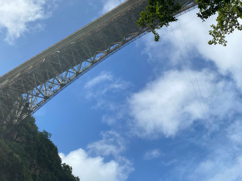 GoLocal-维多利亚瀑布必去景点