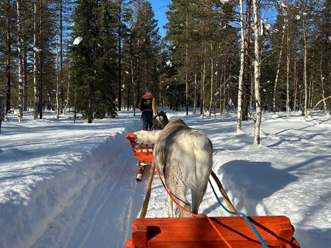 Lapland Safaris Yllas-Akaslompolo必去景点