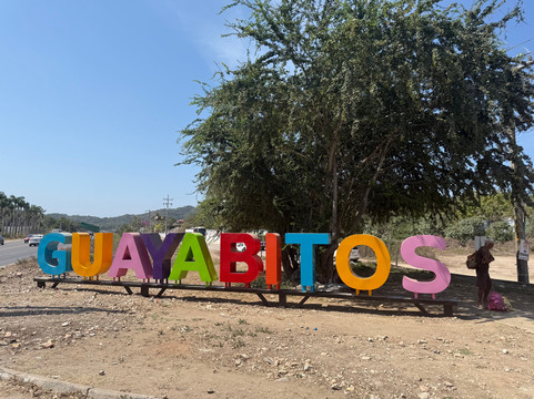 Vallarta Coconut Transfer-瓦拉塔港必去景点