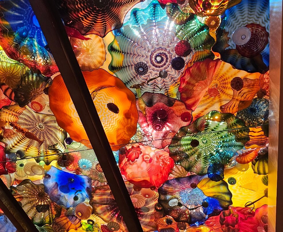 俄克拉荷马城市艺术博物馆-俄克拉何马城必去景点