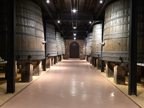 Bodegas Franco Espanolas-洛格罗尼奥必去景点