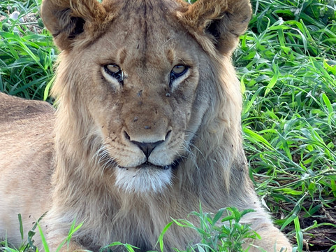 Tanzania Roadside Expeditions-阿鲁沙必去景点