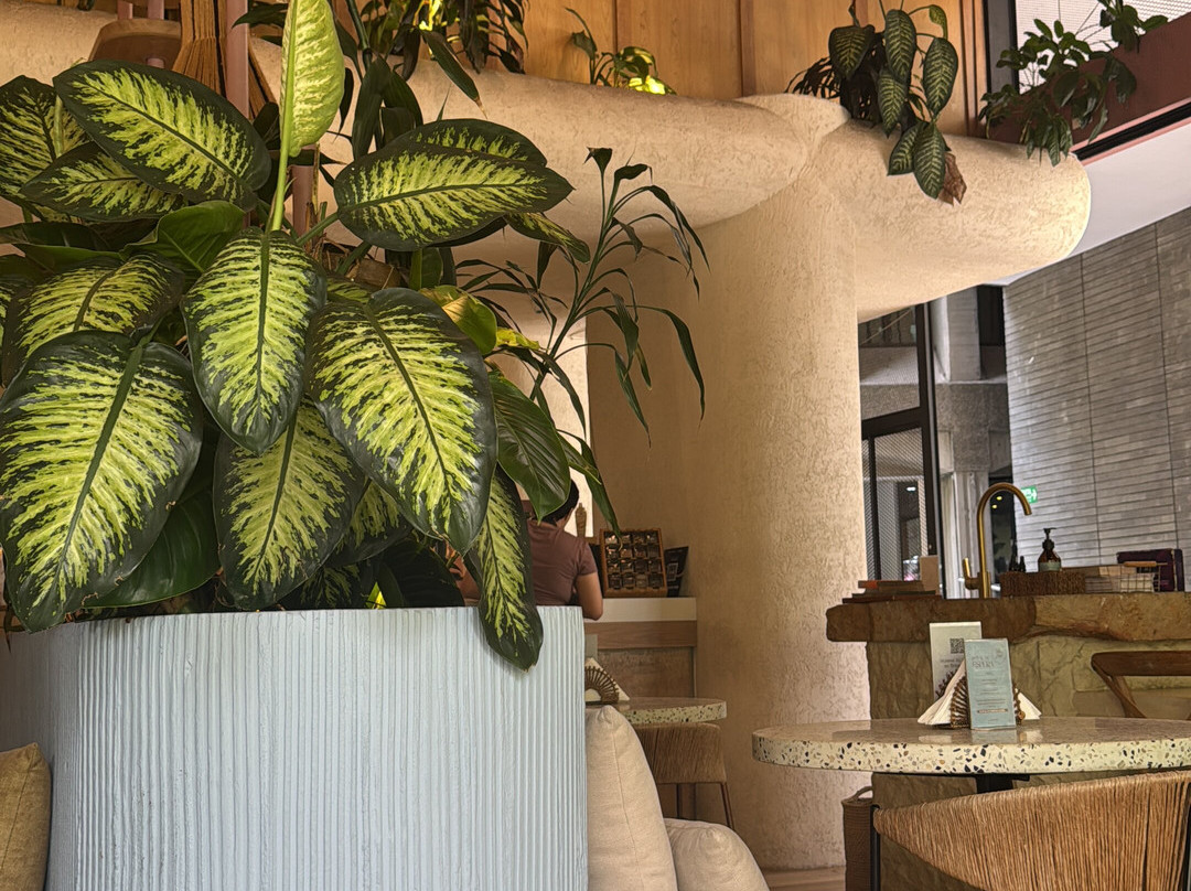 Sattva Alimento Ritual