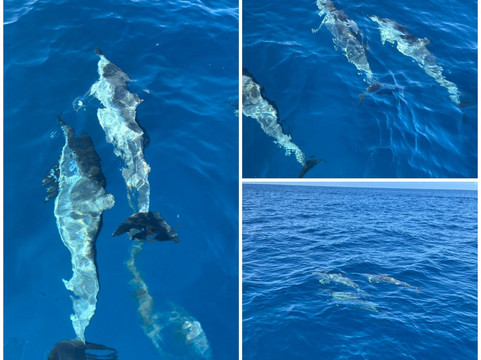 Karlos Excursions-莫纳山必去景点