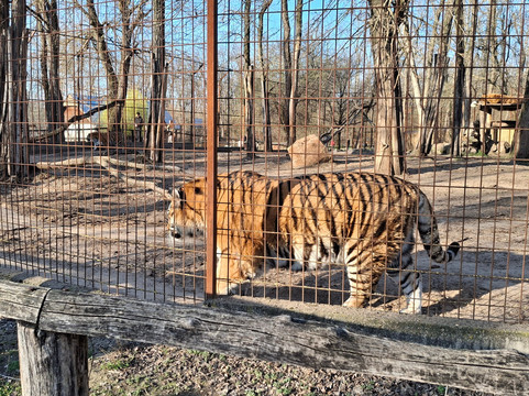 Magán Zoo-Felsolajos必去景点