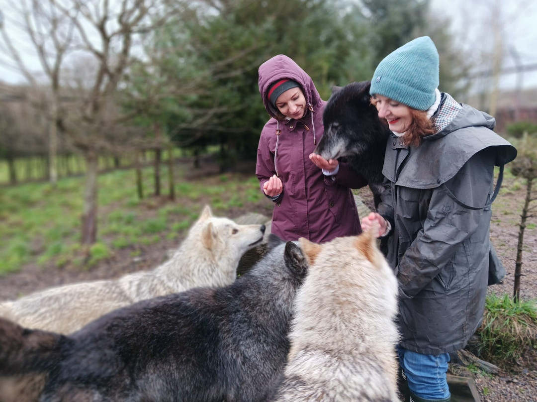 Predator Park-Ayside必去景点
