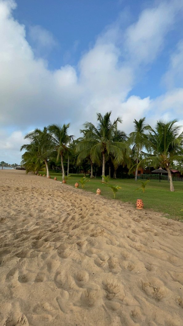 Aqua Safari Resort-泳池