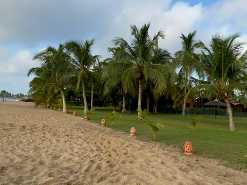 Aqua Safari Resort主图