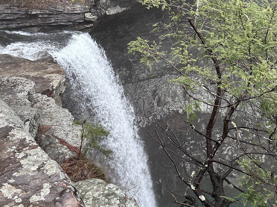 Ozone Falls State Natural Area-Crab Orchard必去景点