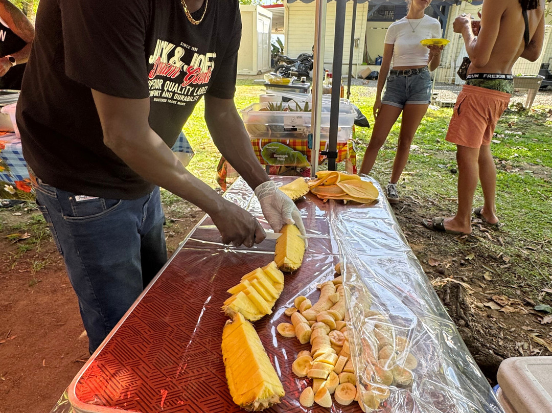 Kalonji Tours & Taxi-Le Lamentin必去景点