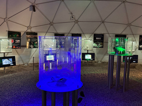 Museo del Meteorito-圣佩德罗-德阿塔卡马必去景点