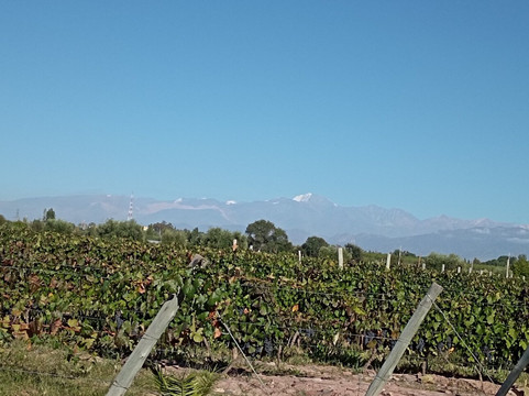 SARS TURISMO-门多萨必去景点