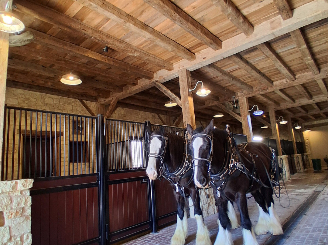 Hermann Farm-赫曼必去景点