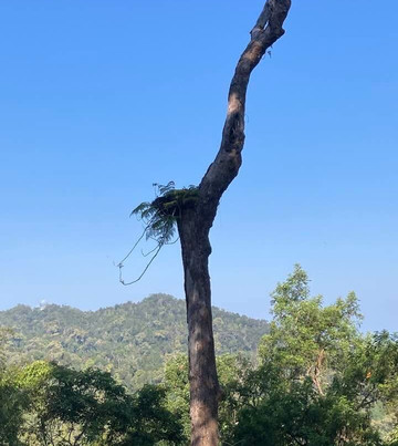 The Habitat Penang Hill-槟城岛必去景点