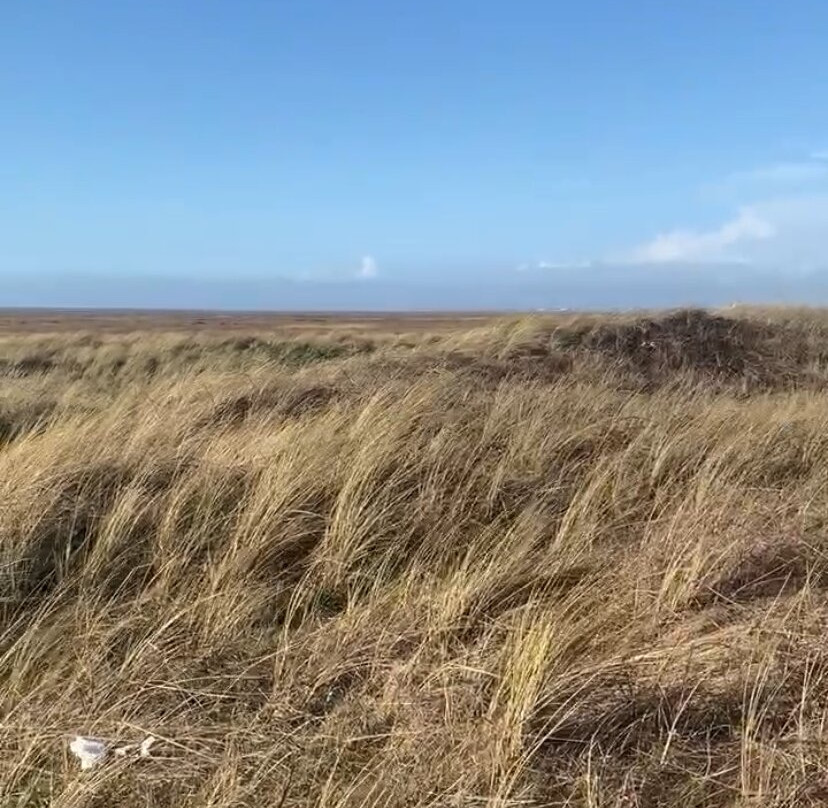 Southport Beach-绍斯波特必去景点