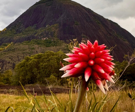 Ancestral Travel-波哥大必去景点