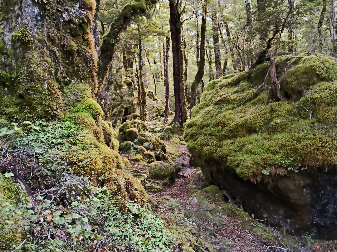 Travers-Sabine Circuit-Saint Arnaud必去景点