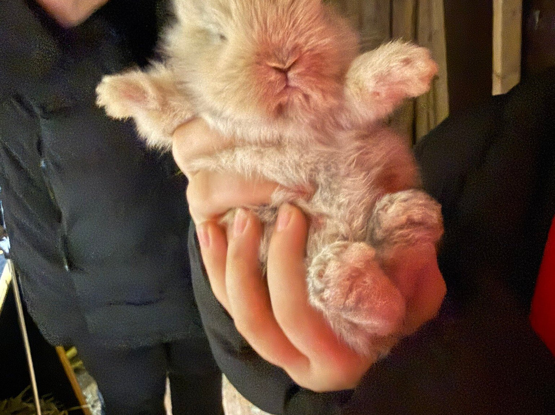 法尔松度假村酒店主图