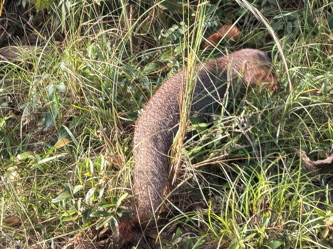 Punsisi jeep service and restaurants-Nochchiyagama必去景点