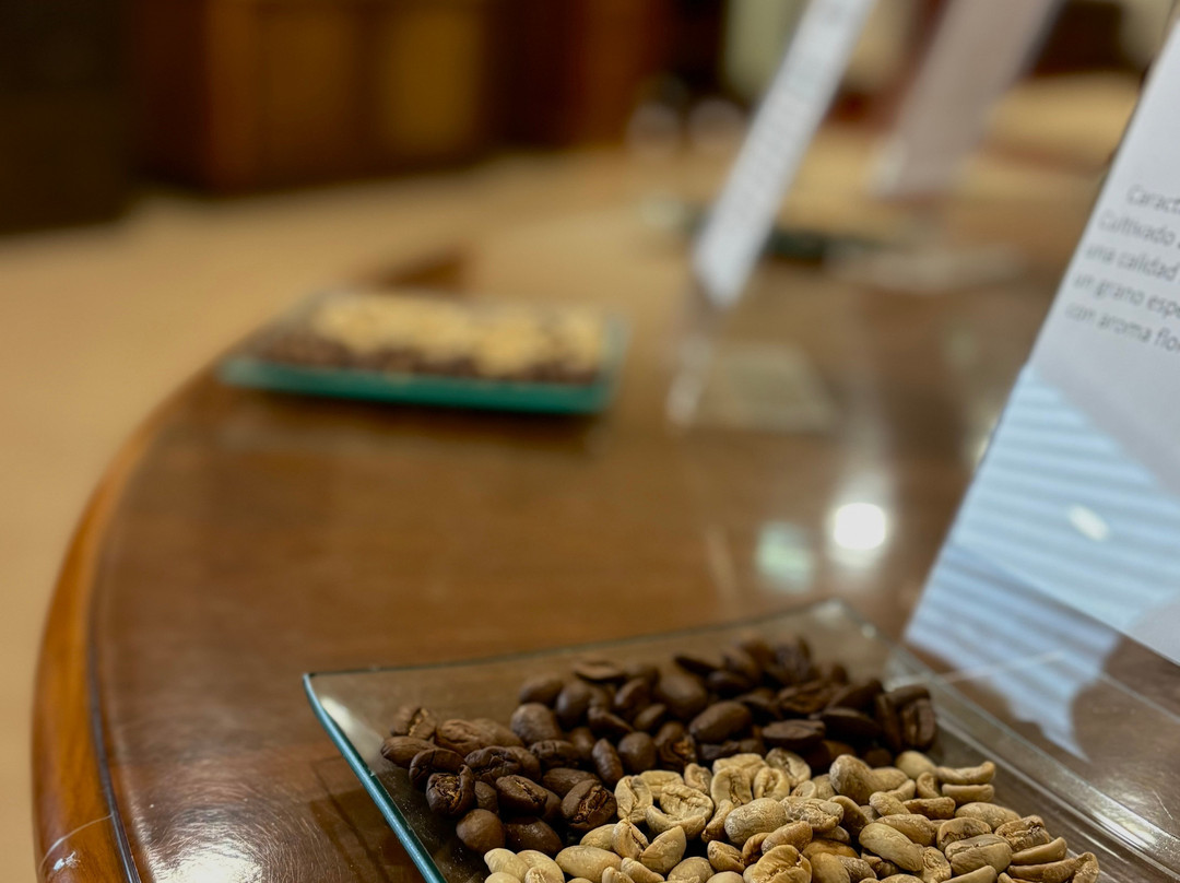 Cafento Coffee Factory-Tineo必去景点