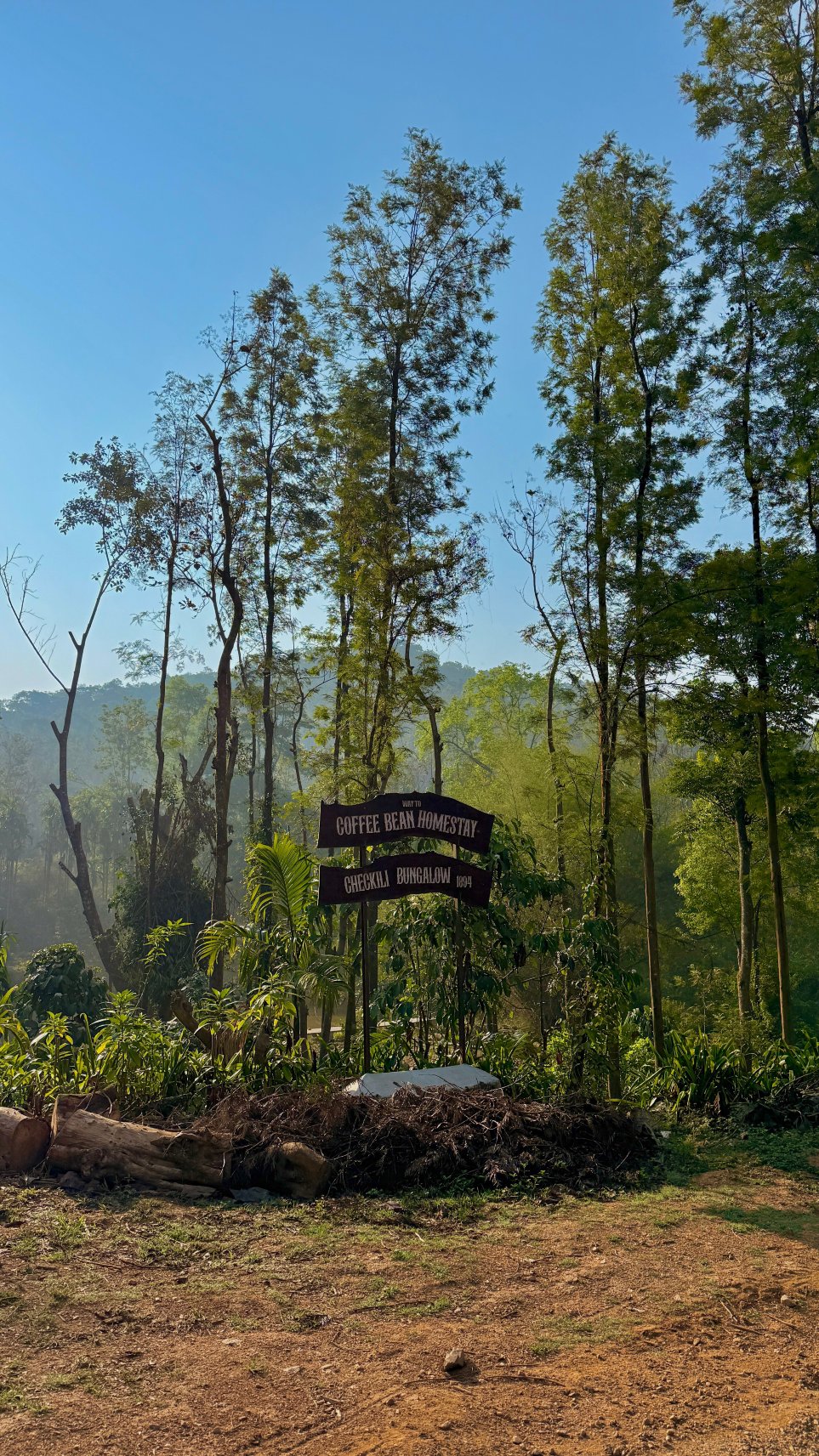 Coffeebean Home Stay Chikmagalur-官方