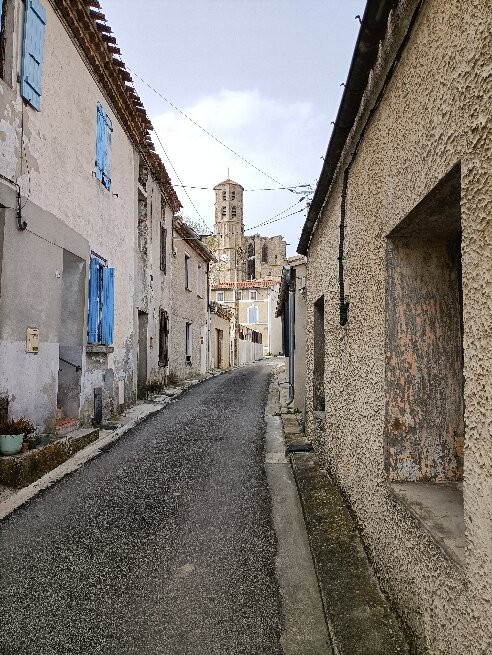 Collégiale Saint-Vincent-Montreal必去景点