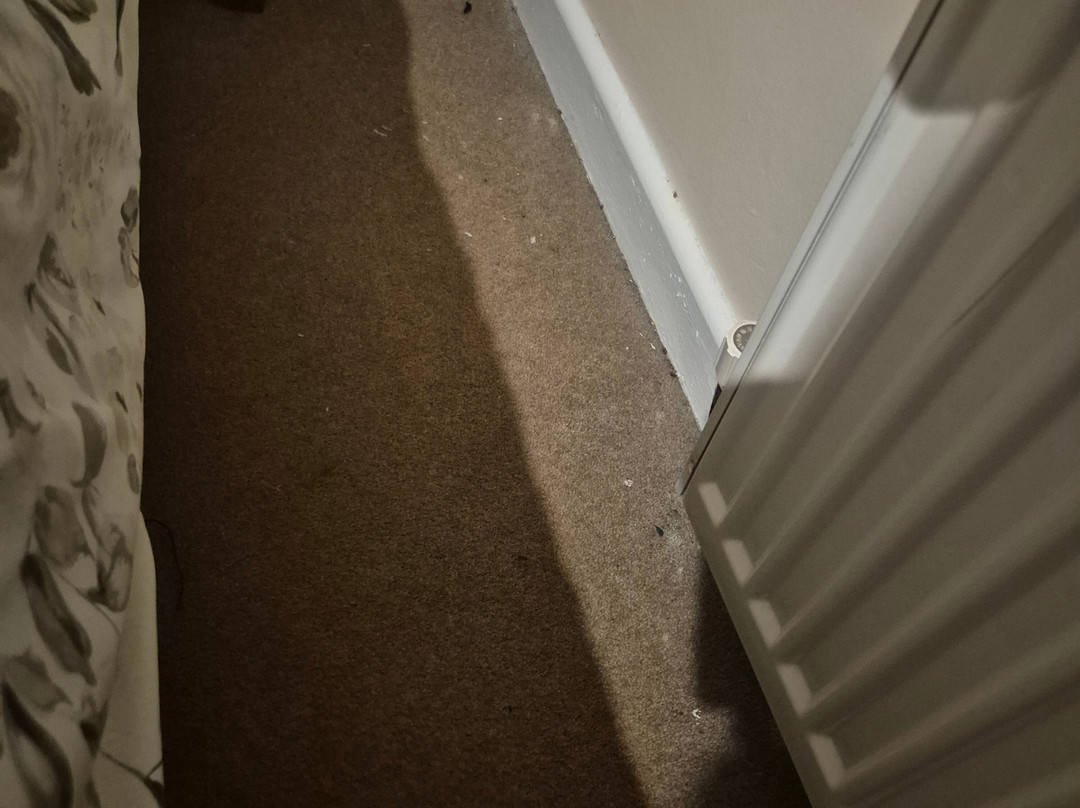 紫丁香住宿加早餐旅馆主图