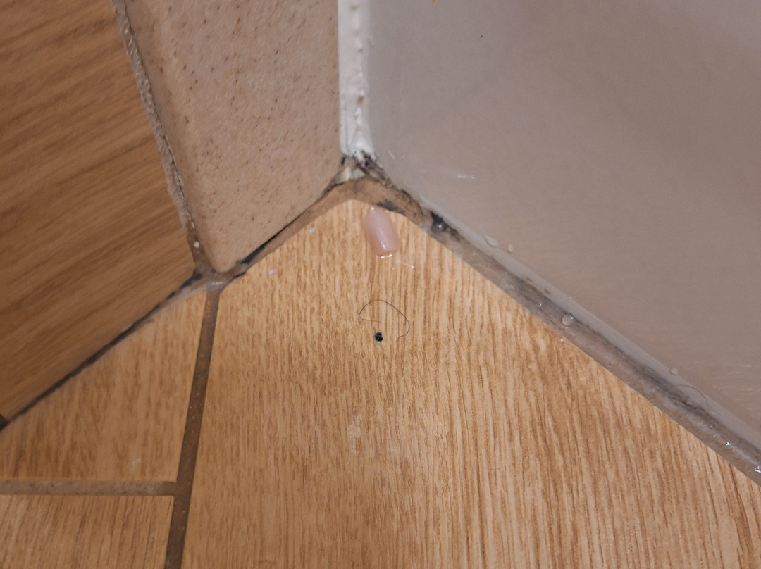 圣塔克拉里塔拉昆塔温德姆套房酒店主图