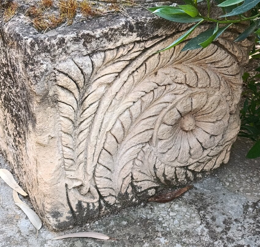 Pupput Roman Site-哈玛麦德必去景点