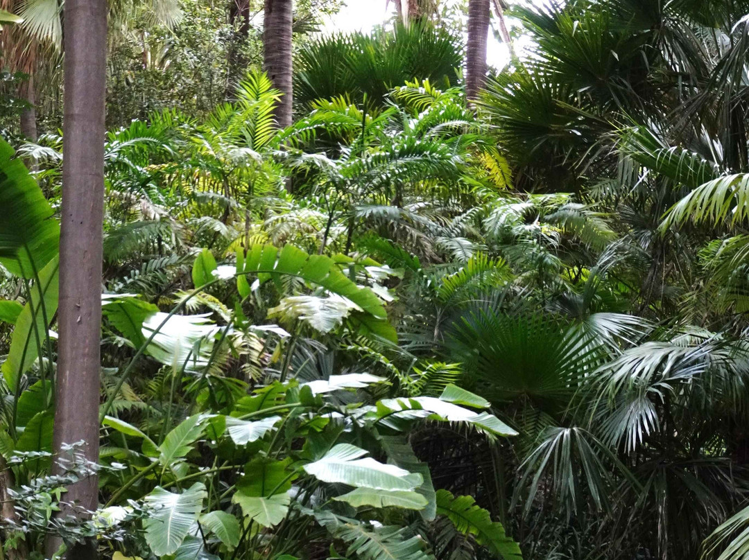 Jardin Botanico Historico La Concepcion-马拉加必去景点