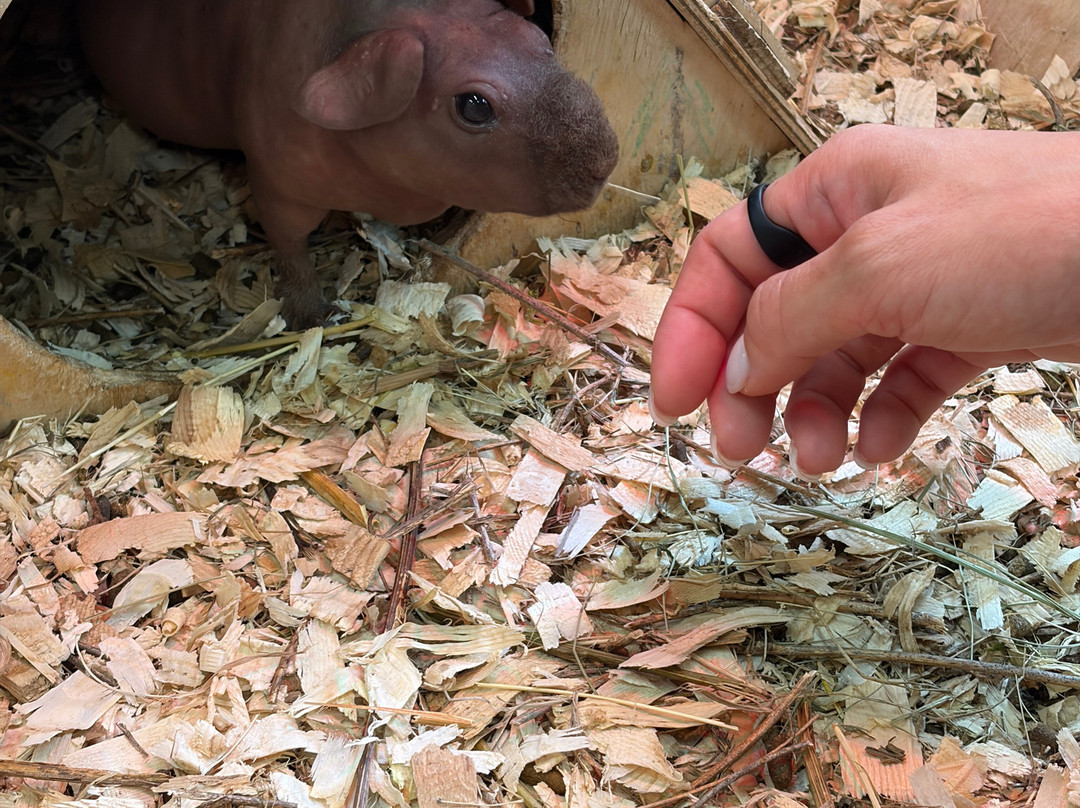 Strana Enotiya-克拉斯诺亚尔斯克必去景点