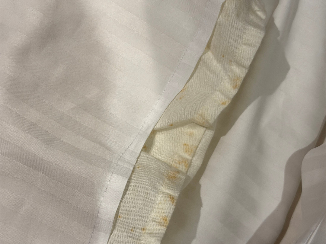 圣皮耶尔酒店主图