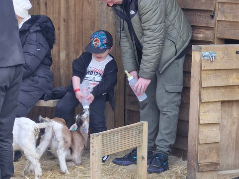 Quex Adventure Farm Park-Birchington必去景点