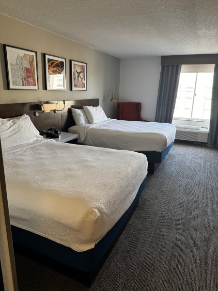 巴尔的摩华盛顿国际机场希尔顿花园酒店-客卧