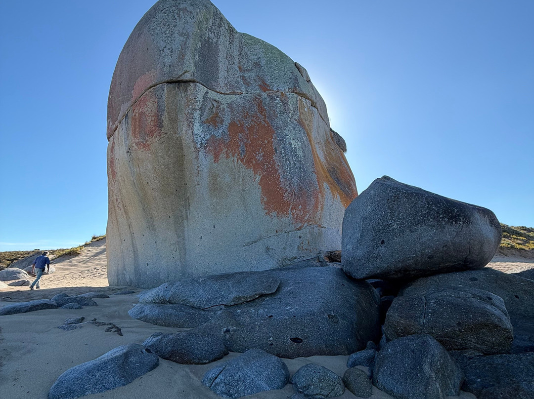 Australian Air Safaris-Moorabbin必去景点
